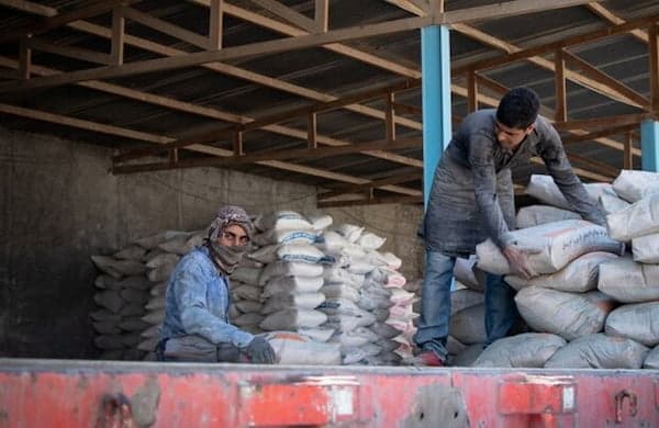 خرید سیمان ساروج + قیمت فروش استثنایی 2